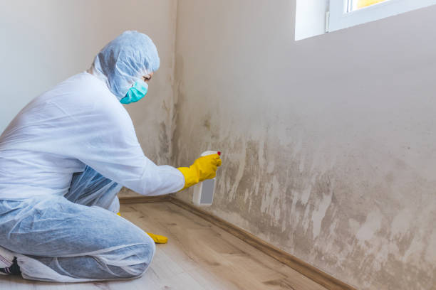Commercial Mold Remediation assessment for commercial property in Bellvue