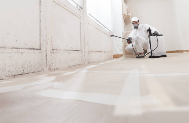 Post-remediation clearance in Bellvue